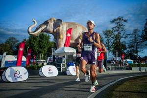 BIB: 
                            <button type="button" onclick="openModal(26541578)" class="btn btn-primary btn-sm float-right btn-popup" data-toggle="modal" data-target=".modal-high-quality">
                        <i class="fas fa-shopping-cart"></i> Add to Cart
                    </button>
                                            <button type="button" onclick="isThisMe(26541578, true)" class="btn btn-success btn-sm float-right btn-popup btn-isme hidden" data-toggle="tooltip" data-placement="bottom" title="นี่คือรูปของคุณใช่ไหม คลิกที่นี่เพื่อเอาเข้าอัลบั้ม">
                        <i class="fas fa-plus"></i> Add to album
                    </button>
                    <button type="button" onclick="isThisMe(26541578, false)" class="btn btn-warning btn-sm float-right btn-popup btn-isnotme hidden">
                        <i class="fas fa-ban"></i> Remove from album
                    </button>